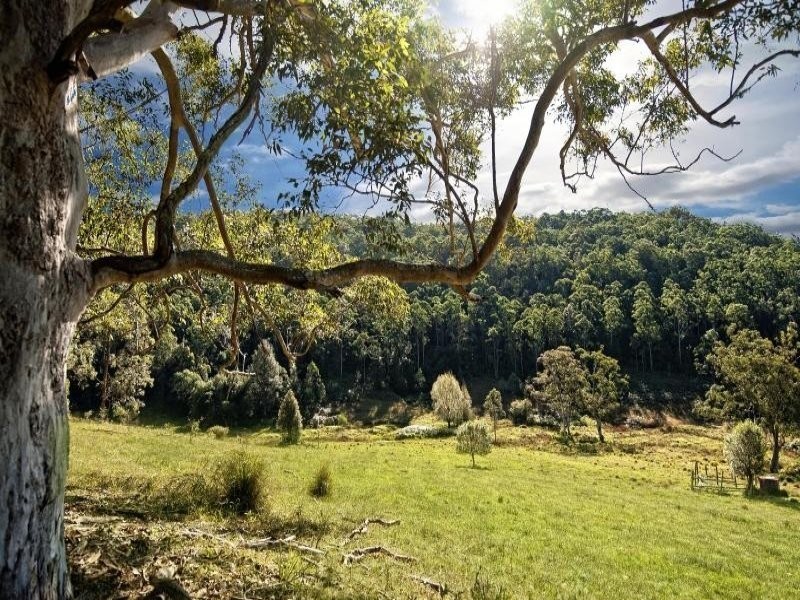 L20,73,1 Yarramalong Road, Wyong Creek NSW 2259