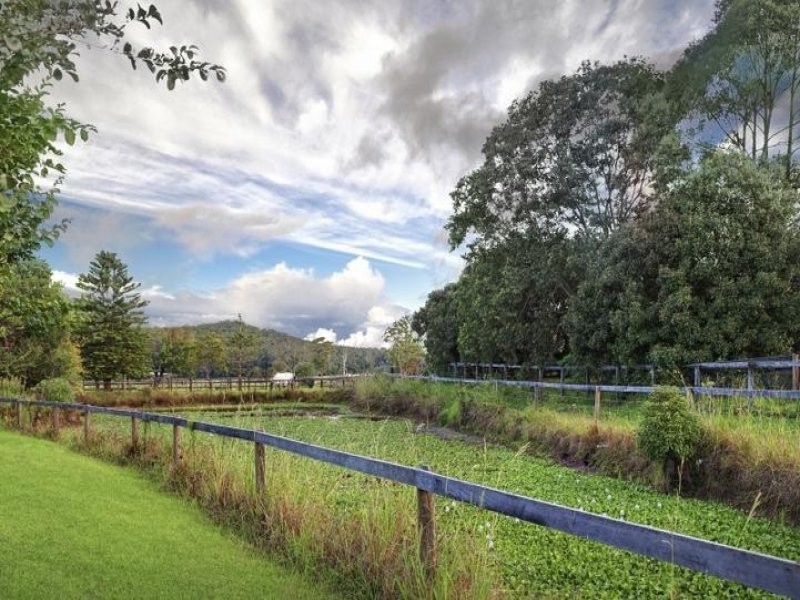 319 Jilliby Road, Jilliby NSW 2259