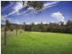 36 Phil Tunks Road, Dooralong NSW 2259