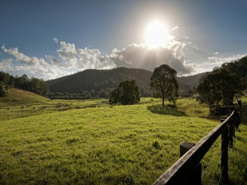 277 Ravensdale Road, Ravensdale NSW 2259