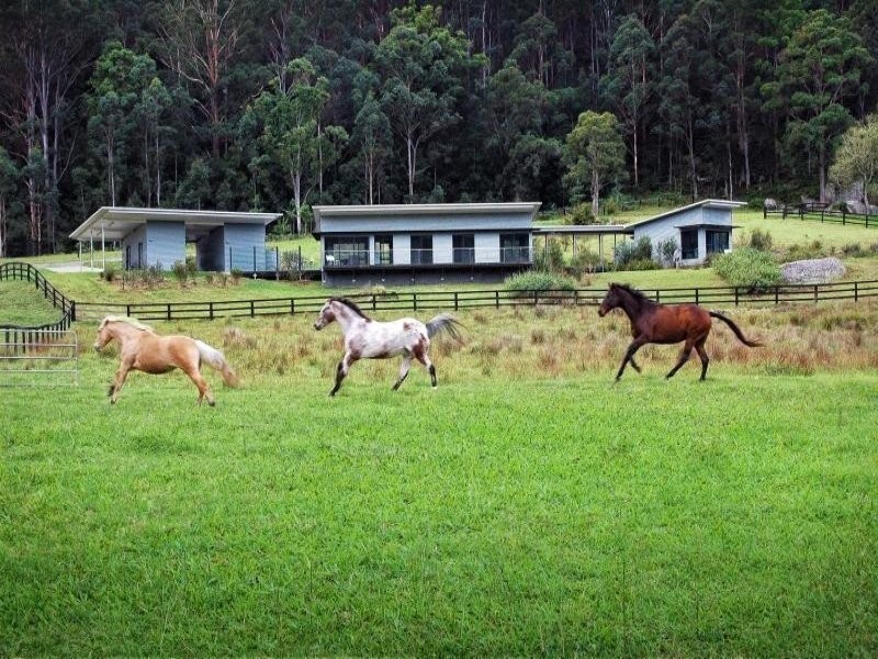 277 Ravensdale Road, Ravensdale NSW 2259