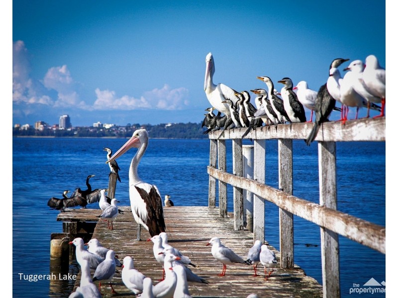 Lot 101 – 129, 190 Johns Road, Wadalba NSW 2259