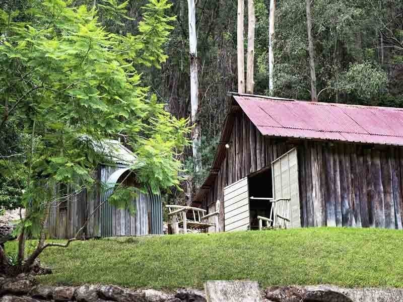 899 Brush Creek Road, Cedar Brush Creek NSW 2259