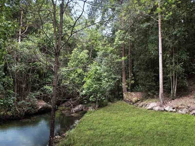 899 Brush Creek Road, Cedar Brush Creek NSW 2259