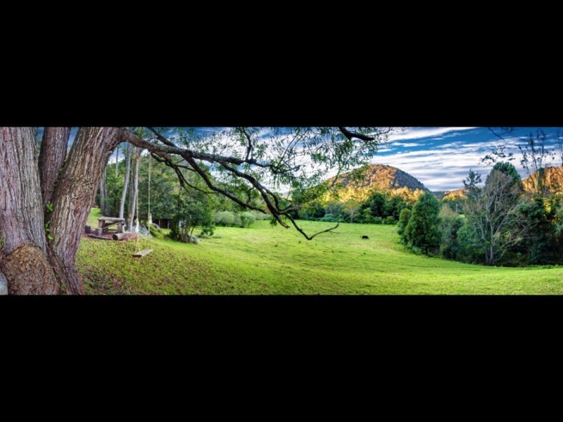 665 Brush Creek Road, Cedar Brush Creek NSW 2259