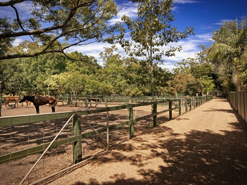 43 South Tacoma Road, Tacoma South NSW 2259