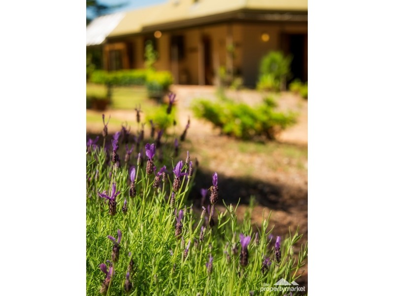 134 Pringles Road, Martinsville NSW 2265