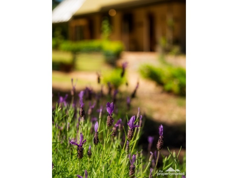 134 Pringles Road, Martinsville NSW 2265