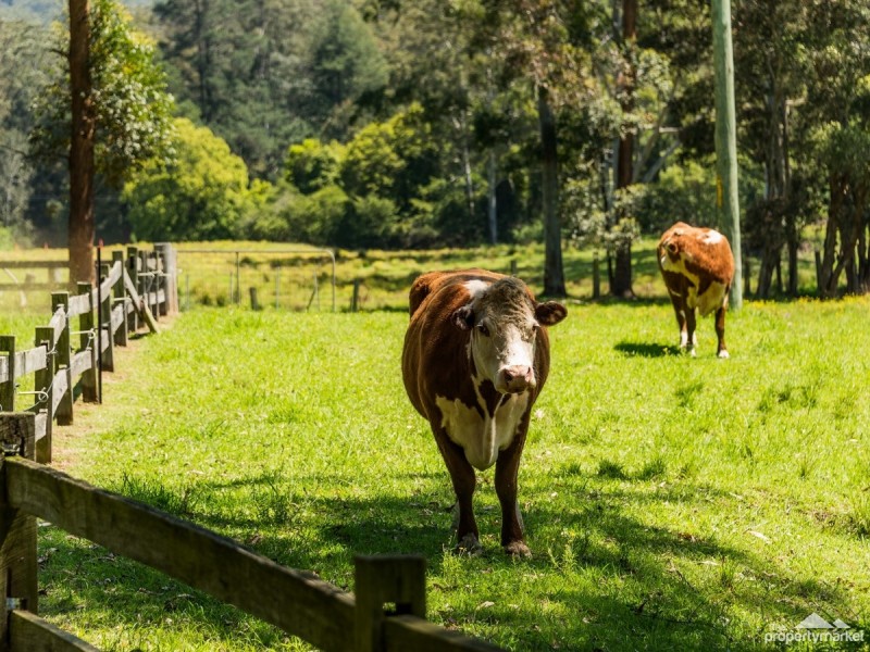 134 Pringles Road, Martinsville NSW 2265