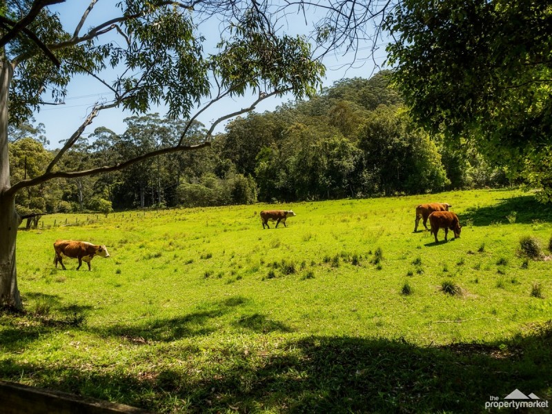 134 Pringles Road, Martinsville NSW 2265