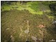 24 Treelands Drive, Jilliby NSW 2259