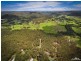 24 Treelands Drive, Jilliby NSW 2259