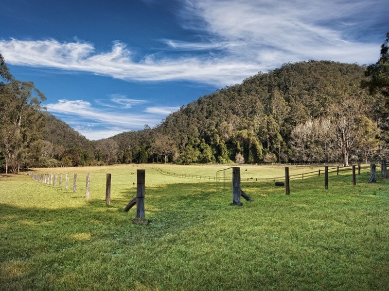 11 Kingtree Lane, Cedar Brush Creek NSW 2259