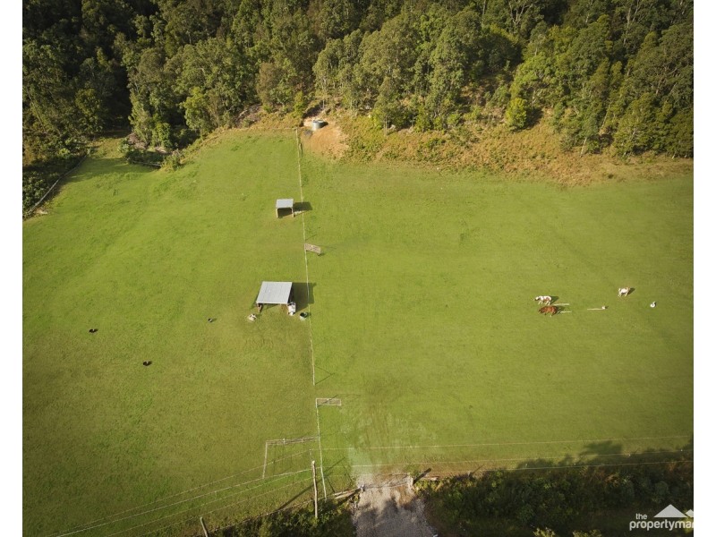 1765 Yarramalong Road, Yarramalong NSW 2259