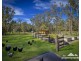 34 Peach Orchard Road, Fountaindale NSW 2258