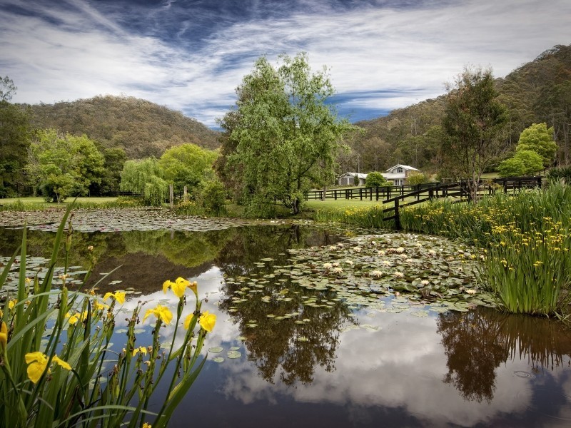 1060 Yarramalong Rd, Wyong Creek NSW 2259