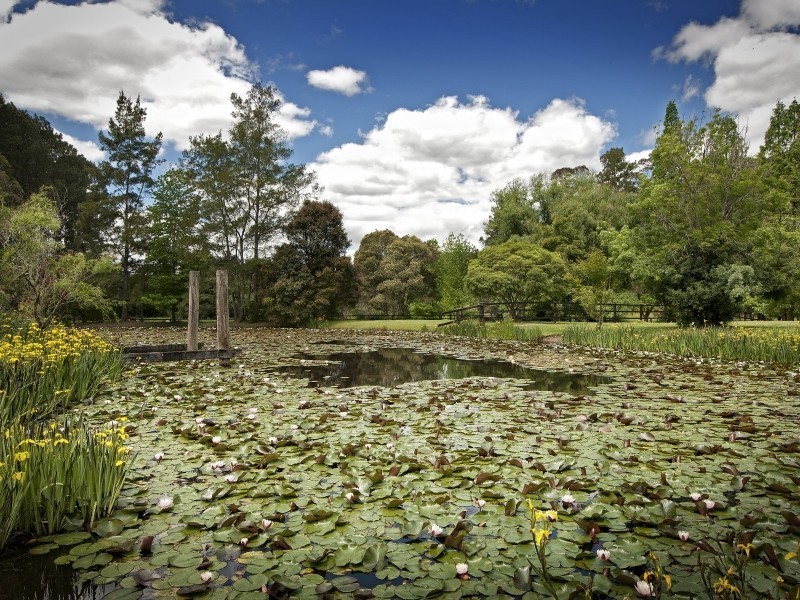 1060 Yarramalong Rd, Wyong Creek NSW 2259