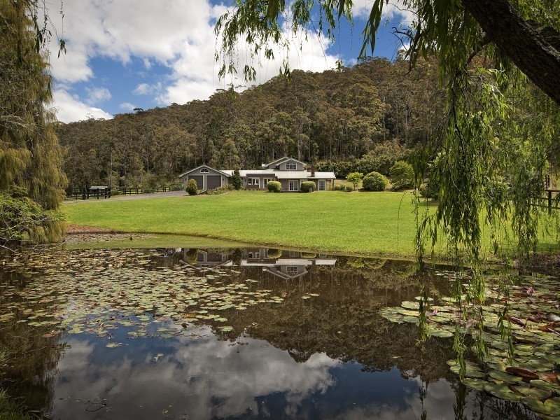 1060 Yarramalong Rd, Wyong Creek NSW 2259