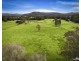 34 Jilliby Road, Alison NSW 2259
