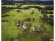 34 Jilliby Road, Alison NSW 2259