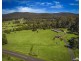 226 Jilliby Road, Jilliby NSW 2259