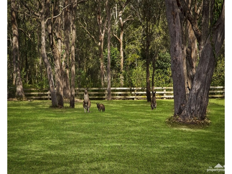 11 Larapinta Drive, Wyee Point NSW 2259