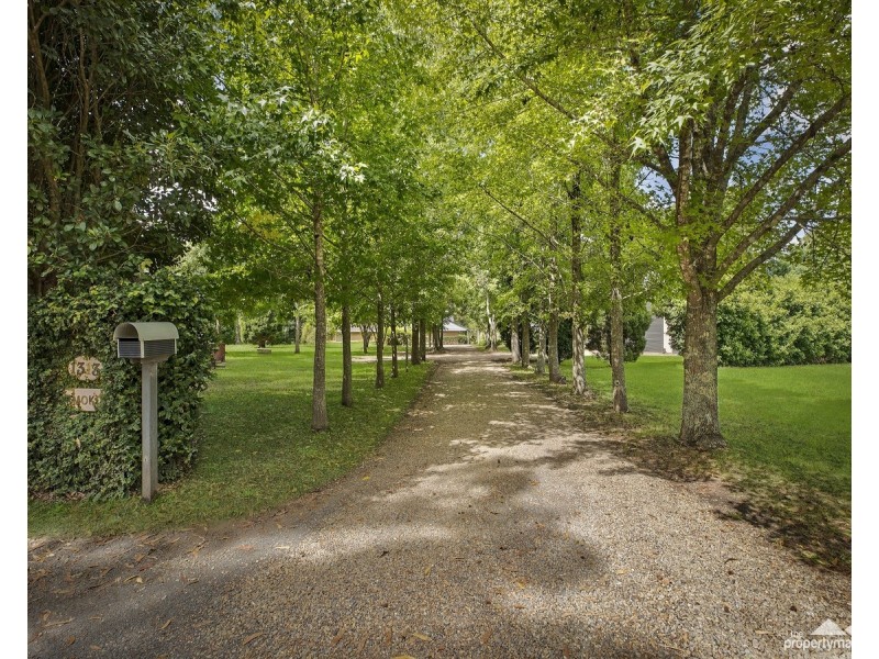 1313 Dooralong Road, Dooralong NSW 2259