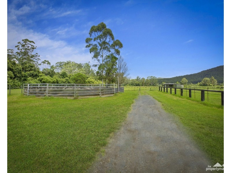 1313 Dooralong Road, Dooralong NSW 2259