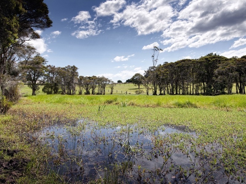 96 Dicksons Road, Jilliby NSW 2259