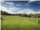 96 Dicksons Road, Jilliby NSW 2259