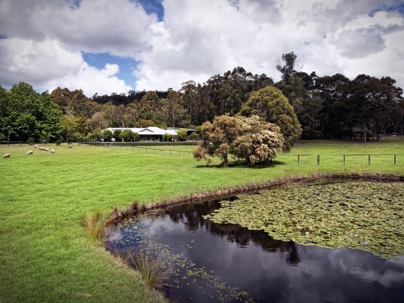 60 Little Jilliby Road, Jilliby NSW 2259