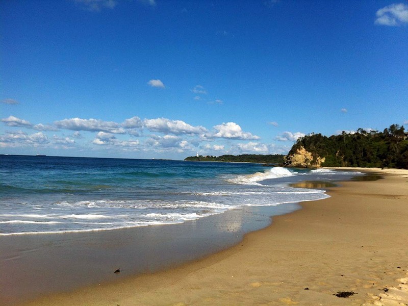 6 Ada Avenue, Noraville NSW 2263