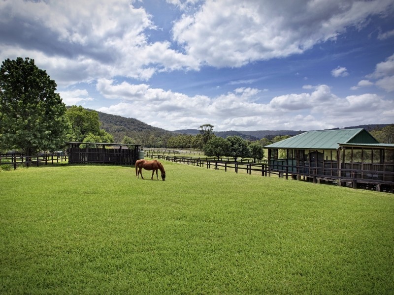 1511 Yarramalong Road, Yarramalong NSW 2259