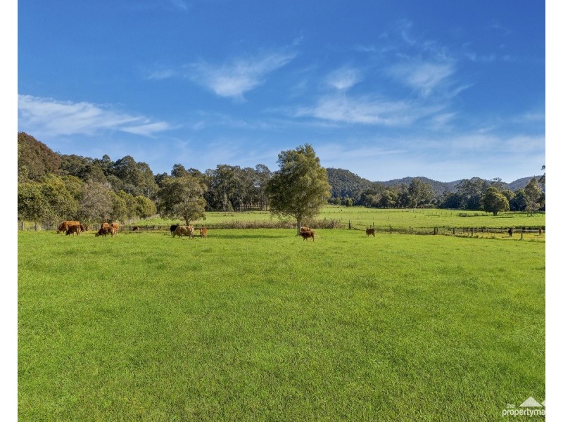 57 Little Jilliby Road, Little Jilliby NSW 2259