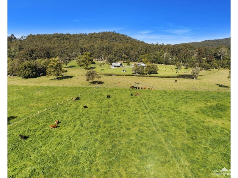 57 Little Jilliby Road, Little Jilliby NSW 2259