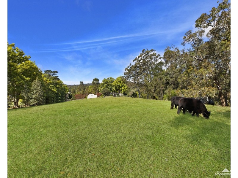 42 Footts Road, Ourimbah NSW 2258