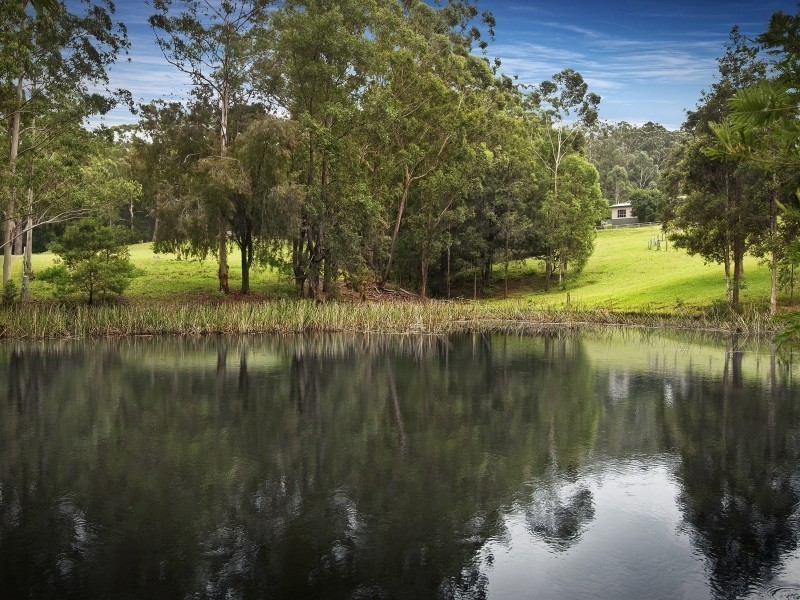 77 Phil Tunks Road, Dooralong NSW 2259