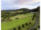 30 Fern Tree Lane, Palmdale NSW 2258