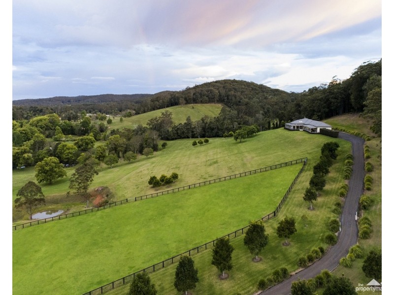 30 Fern Tree Lane, Palmdale NSW 2258