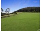 30 Fern Tree Lane, Palmdale NSW 2258
