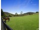30 Fern Tree Lane, Palmdale NSW 2258