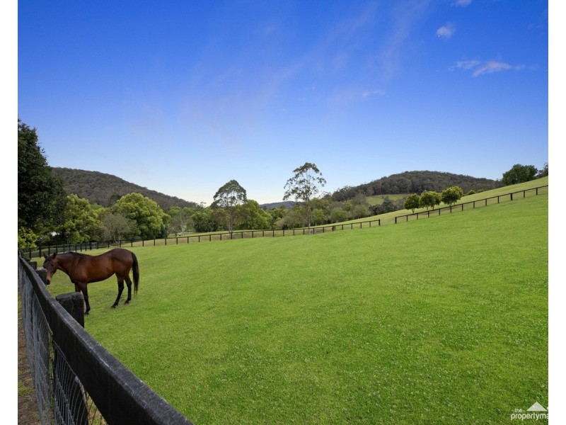 30 Fern Tree Lane, Palmdale NSW 2258