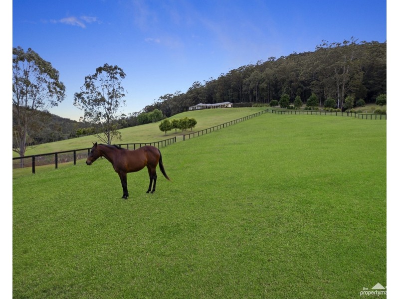 30 Fern Tree Lane, Palmdale NSW 2258