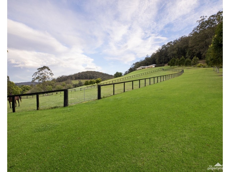 30 Fern Tree Lane, Palmdale NSW 2258