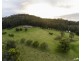30 Fern Tree Lane, Palmdale NSW 2258