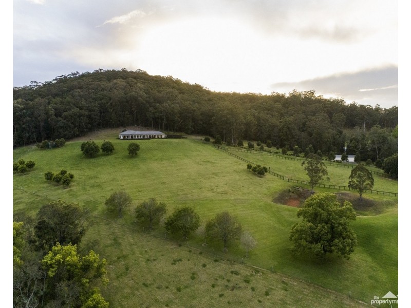 30 Fern Tree Lane, Palmdale NSW 2258