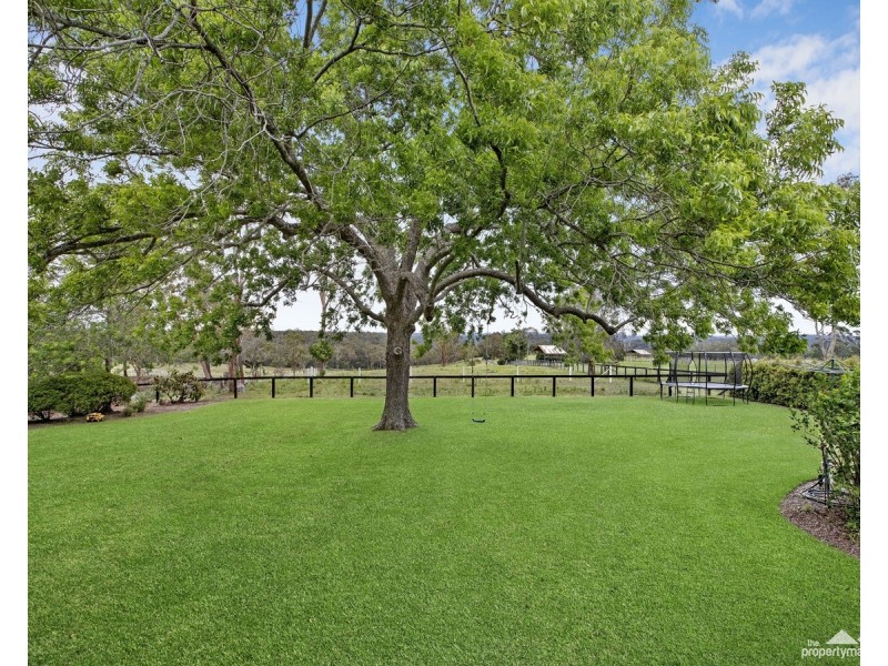 157 Bloodtree Road, Mangrove Mountain NSW 2250