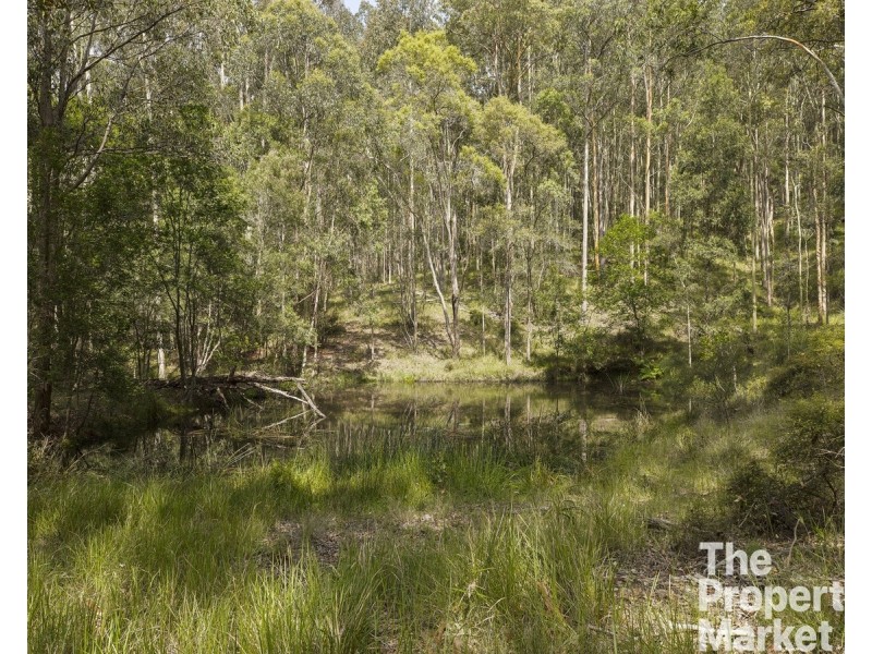 222 Durren Road, Jilliby NSW 2259