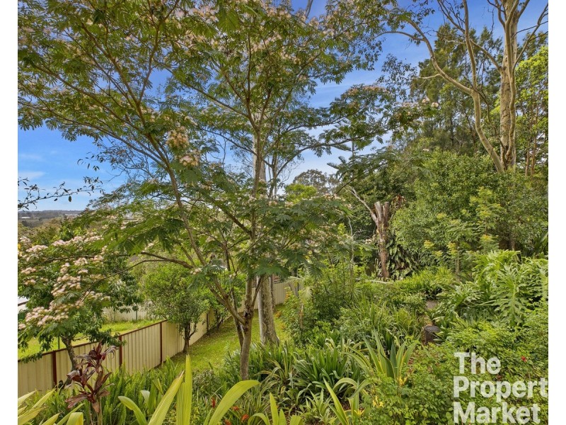19 The Terrace, Watanobbi NSW 2259