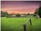 725 Jilliby Road, Jilliby NSW 2259